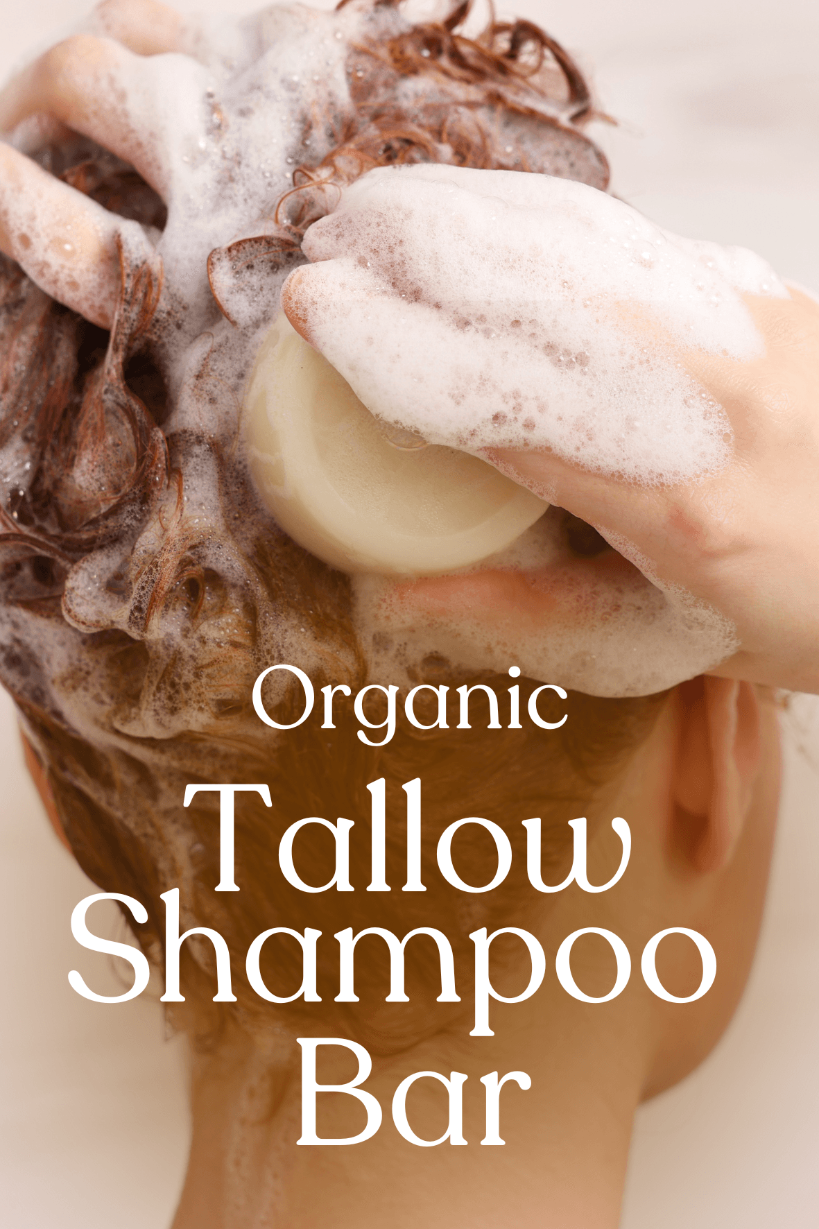 Tallow Shampoo Bar